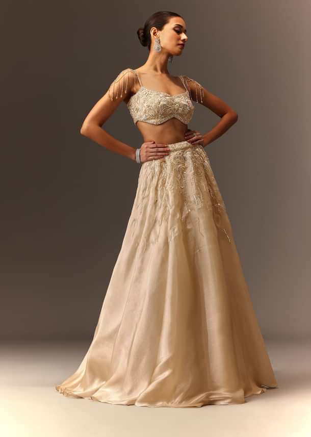 Beige Embroidered Blouse With Skirt And Choker Dupatta