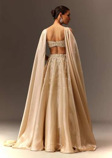 Beige Embroidered Blouse With Skirt And Choker Dupatta
