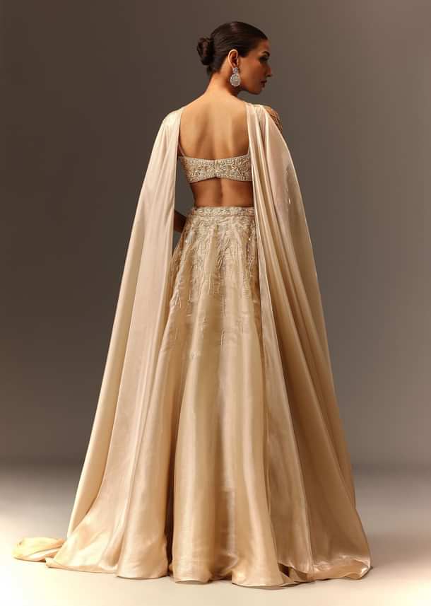 Beige Embroidered Blouse With Skirt And Choker Dupatta