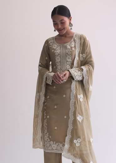 Beige Resham Threadwork Embroiderd Kurti Pant Set In Organza