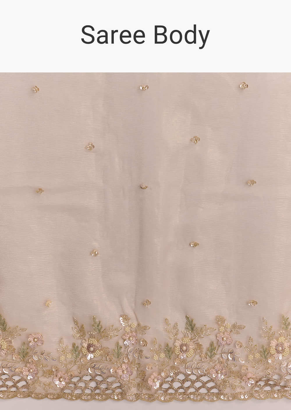 Beige Tissue Embroidered Saree With Floral Hand Embroidery
