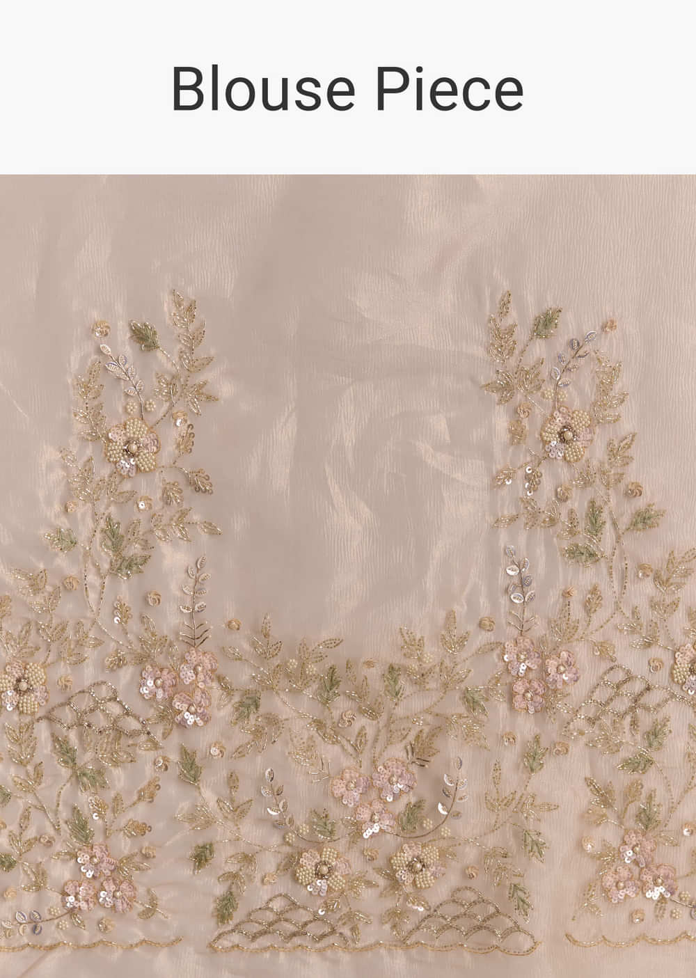 Beige Tissue Embroidered Saree With Floral Hand Embroidery