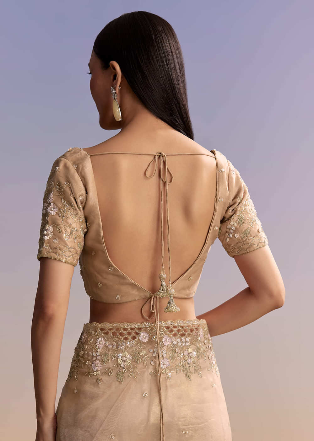 Beige Tissue Embroidered Saree With Floral Hand Embroidery