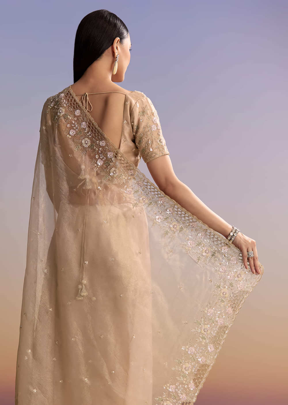 Beige Tissue Embroidered Saree With Floral Hand Embroidery