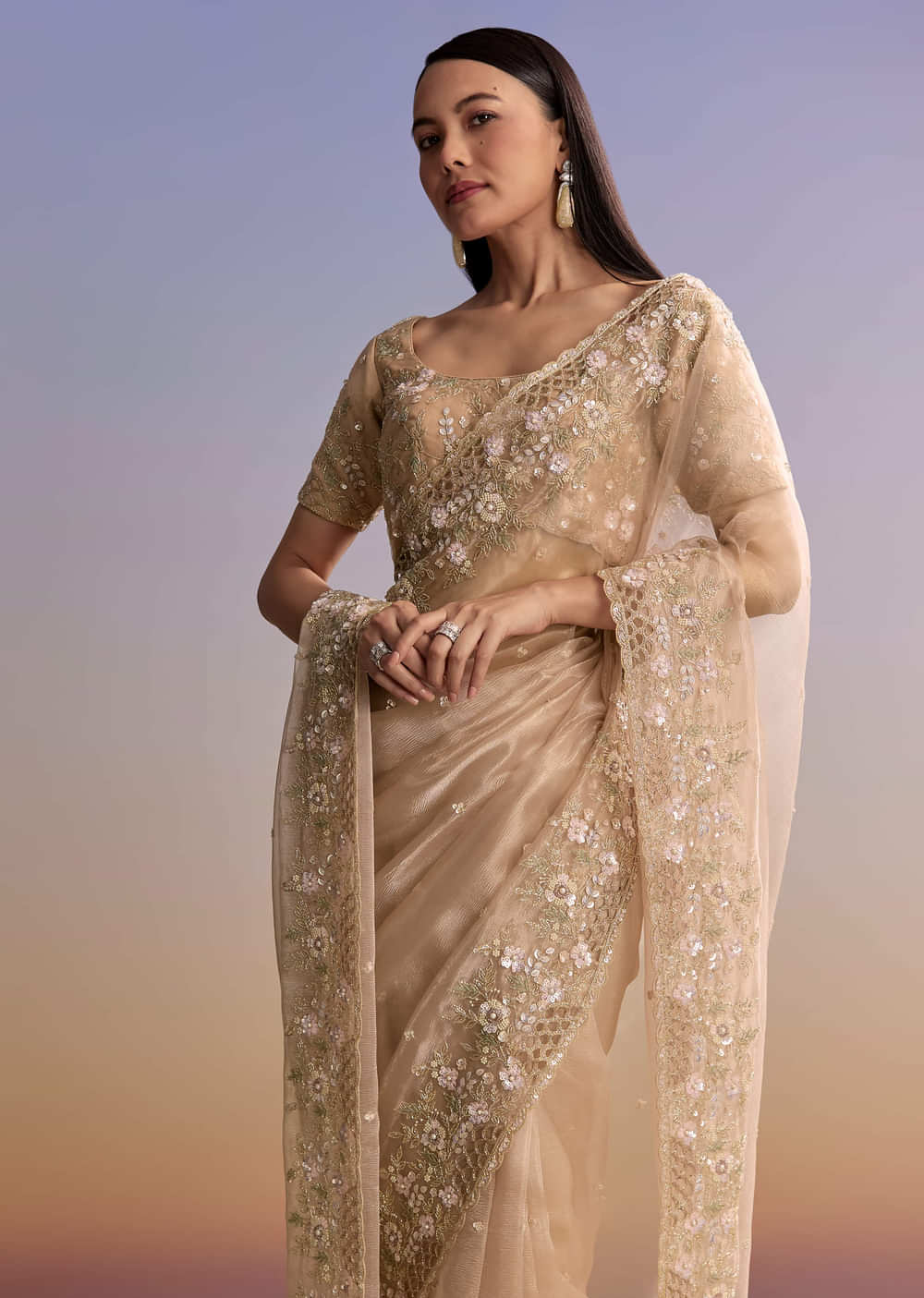 Beige Tissue Embroidered Saree With Floral Hand Embroidery
