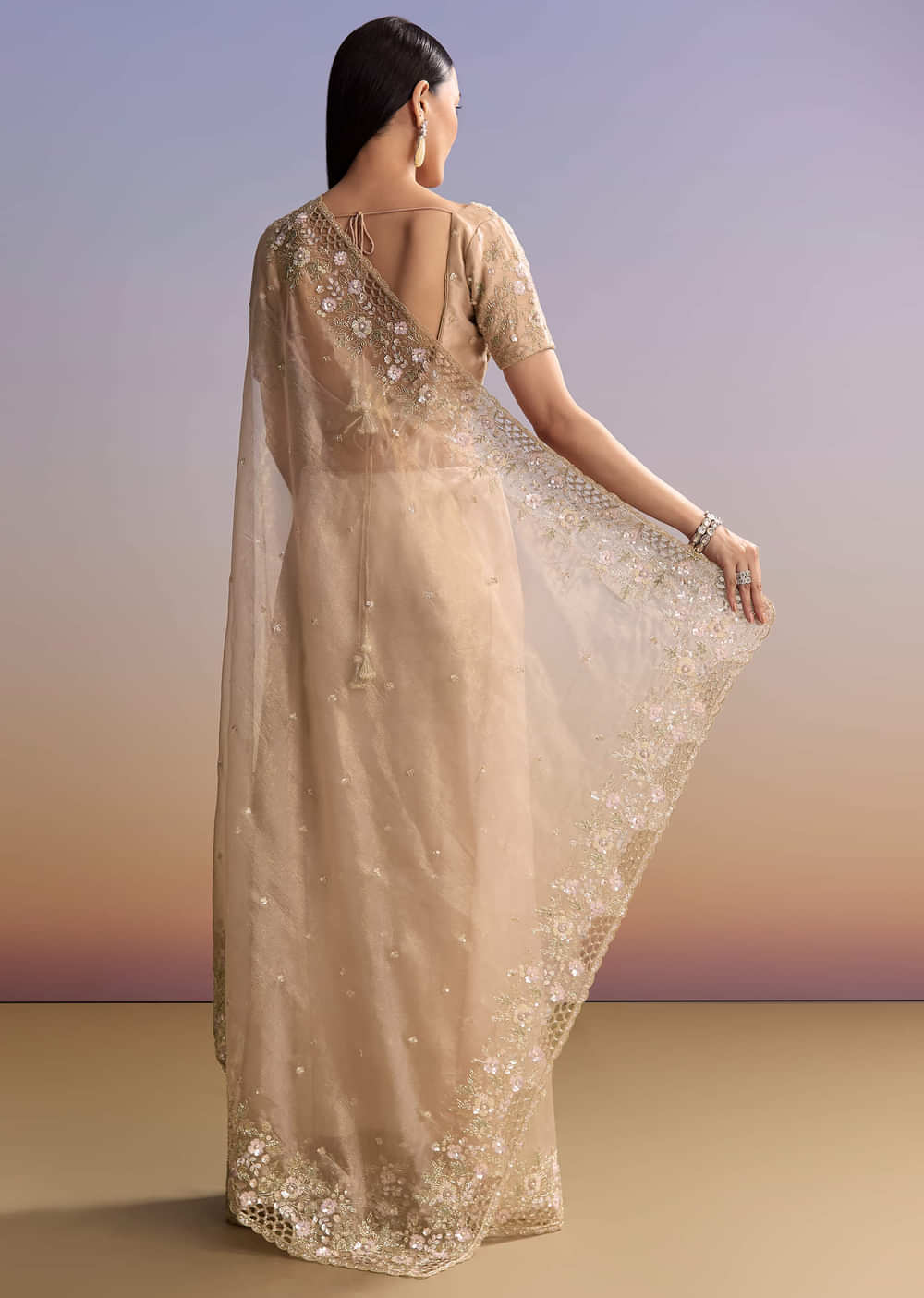 Beige Tissue Embroidered Saree With Floral Hand Embroidery