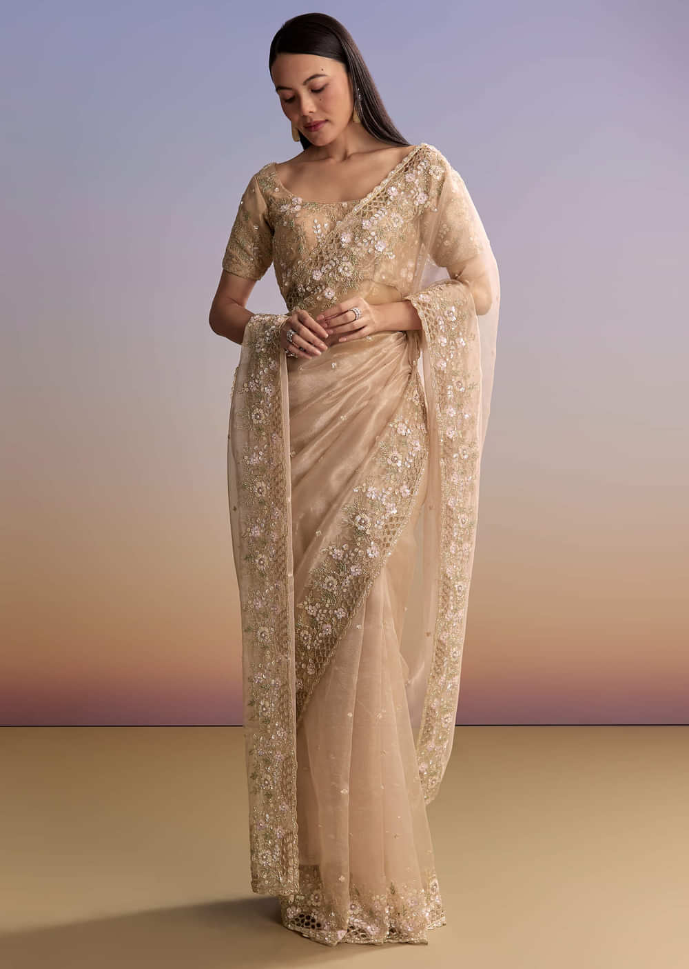 Beige Tissue Embroidered Saree With Floral Hand Embroidery