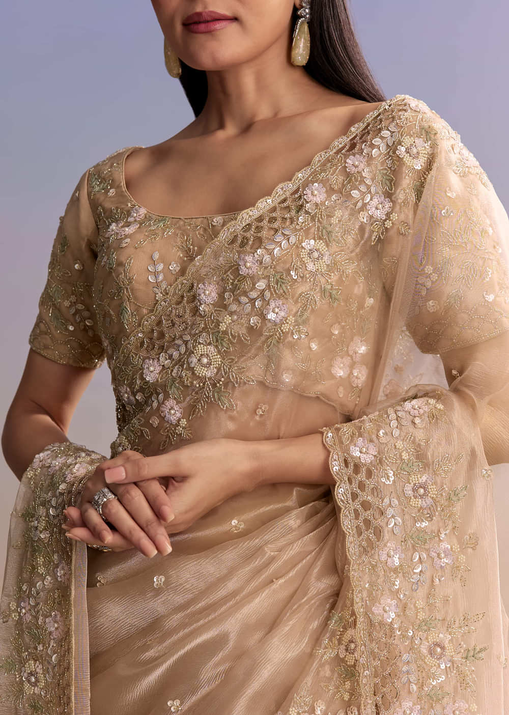 Beige Tissue Embroidered Saree With Floral Hand Embroidery
