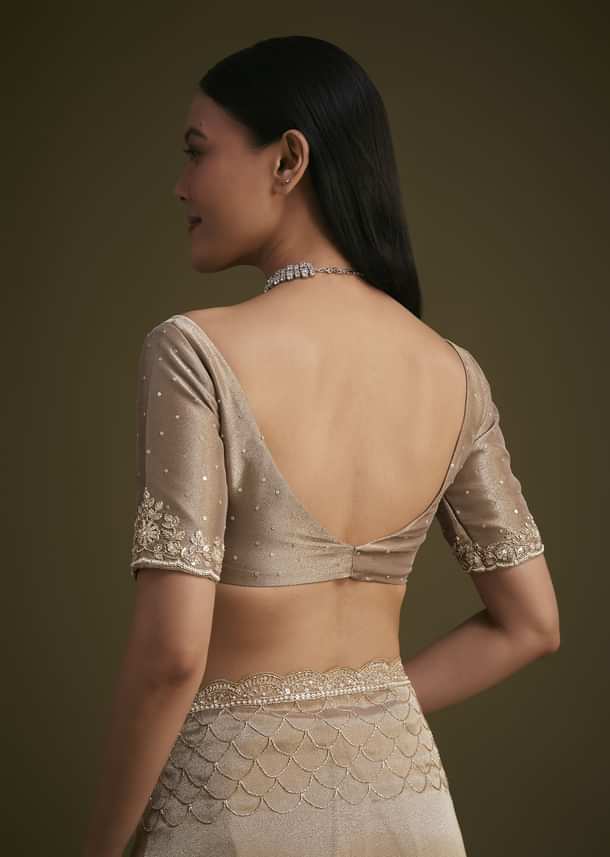 Beige Tissue Embroidered Saree With Scallop Border