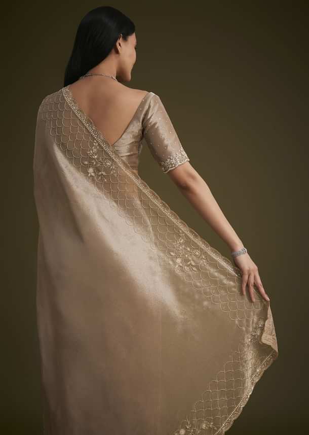 Beige Tissue Embroidered Saree With Scallop Border