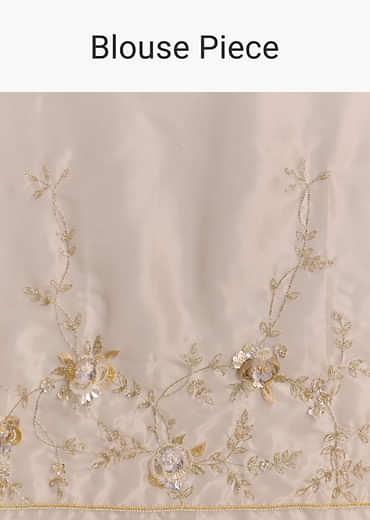Beige Tissue Saree With Moti And Cutdana Embroidery