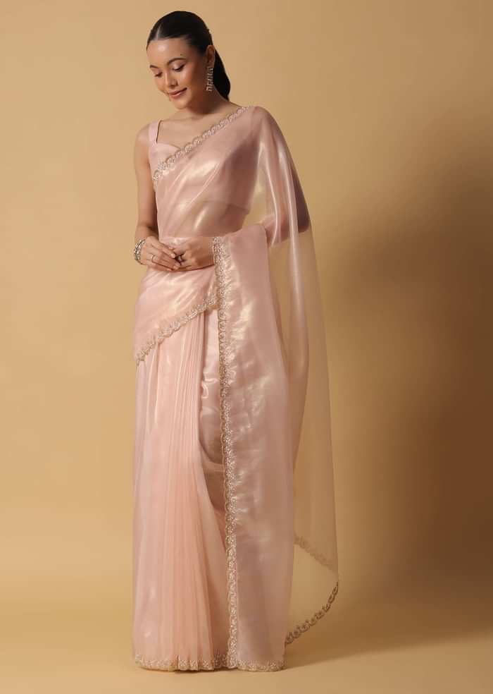 Beige Toned Foil Saree In Tissue With Cut Dana Embroidered Borders