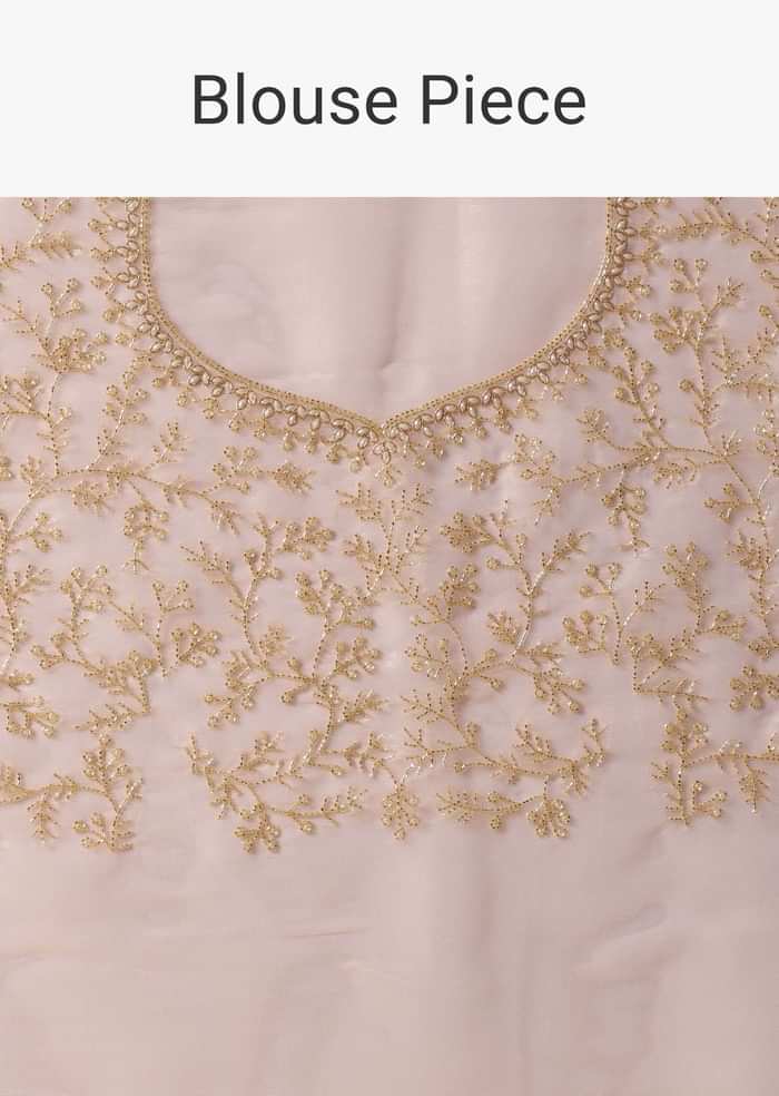 Beige Toned Foil Saree In Tissue With Cut Dana Embroidered Borders