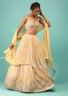 Canary Yellow Lehenga In Georgette With Floral Print And Embroidery