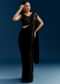 Black Organza Saree With Embroidered Cut Dana Blouse