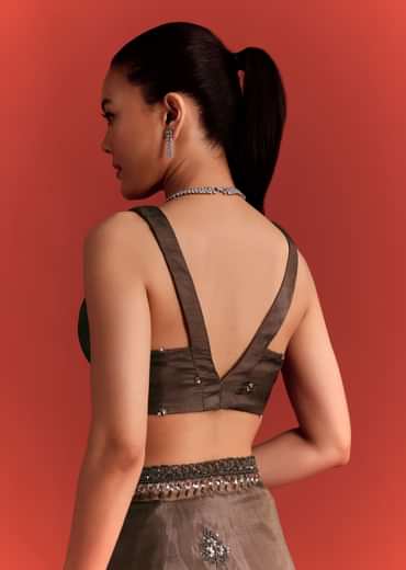 Brown Tissue Saree With Cutdana And Sequin Work