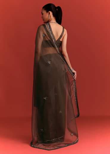 Brown Tissue Saree With Cutdana And Sequin Work