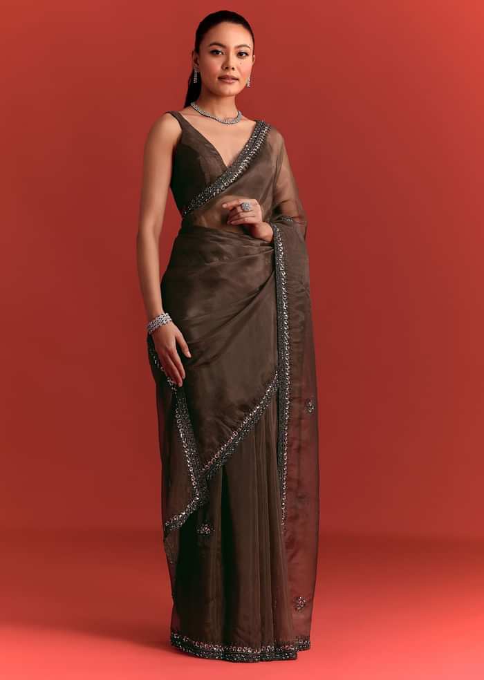 Brown Tissue Saree With Cutdana And Sequin Work