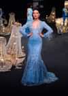 Blue Fish Cut Ombre Trail Embroidered Gown