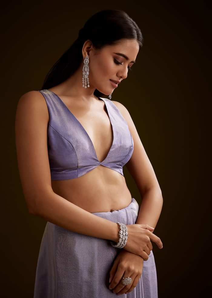 Blush Grey Tissue Saree With Cutdana And Sequins Embroidery And Scallop Border