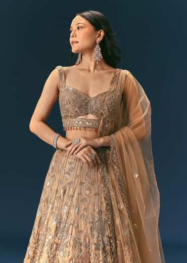 Bronze Organza Lehenga Set With Hand Work