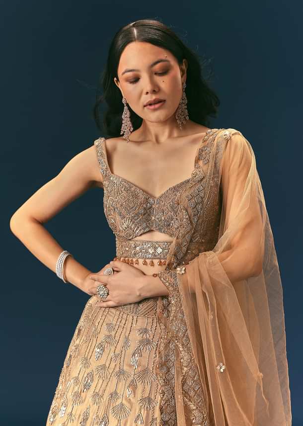 Bronze Organza Lehenga Set With Hand Work