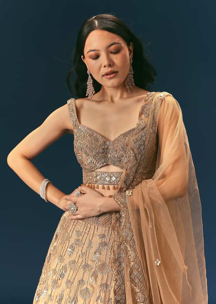Bronze Organza Lehenga Set With Hand Work