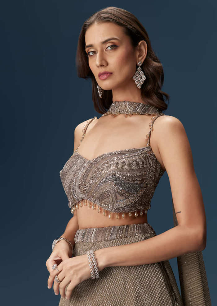 Brown Bridesmaid Lehenga With Choker Net Dupatta And Embellished Blouse