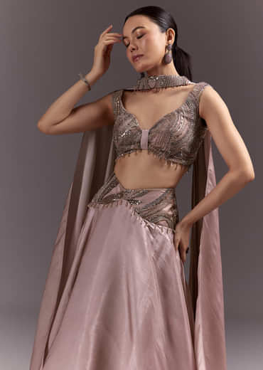 Brown Organza Lehenga With Sweetheart Neck Blouse And Choker Dupatta Brown Organza Lehenga With Sweetheart Neck Blouse And Choker Dupatta