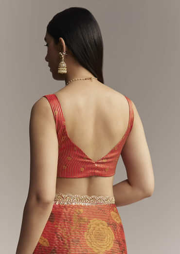 Brown Red Tissue Saree With Mirror And Zari Work