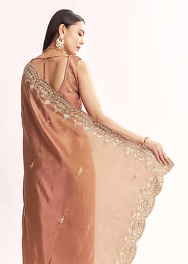Brown Rust Crush Tissue Saree With Gota Zari And Beads Embroidery