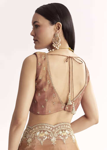 Brown Rust Crush Tissue Saree With Gota Zari And Beads Embroidery
