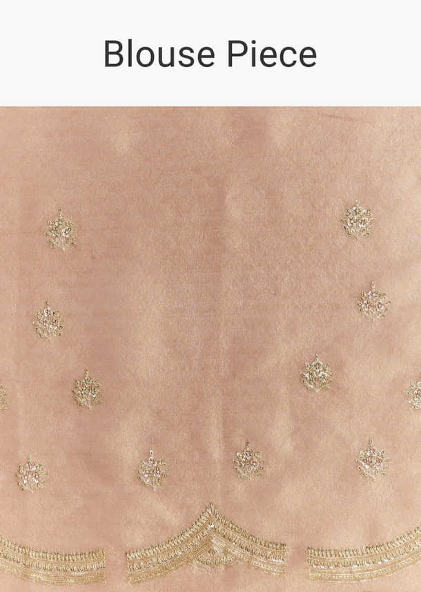 Brown Rust Tissue Saree With Moti Beads And Sequins