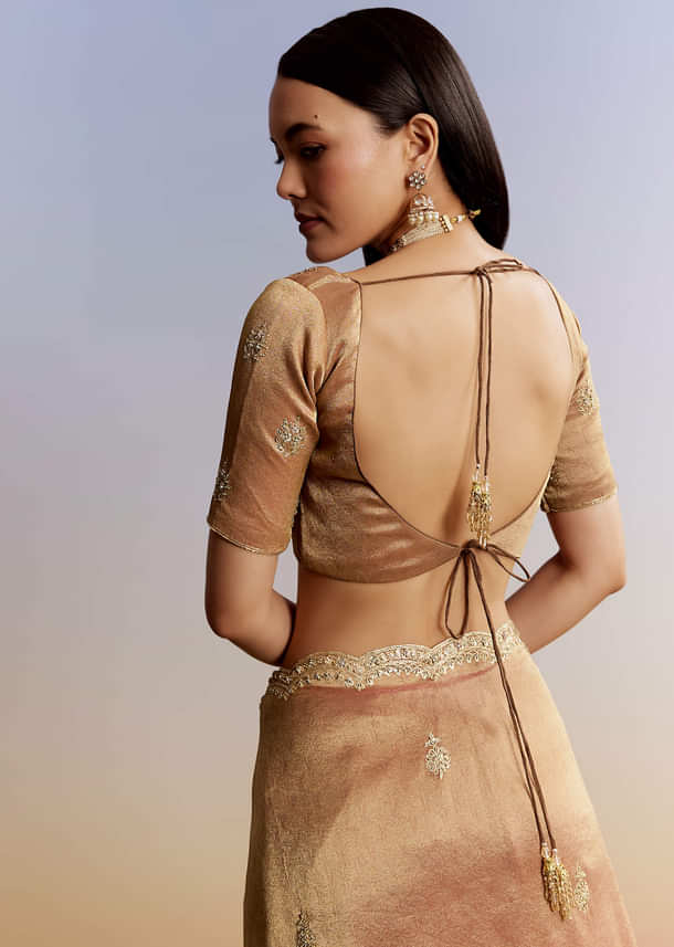 Brown Rust Tissue Saree With Moti Beads And Sequins