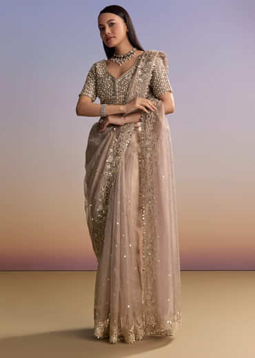 Brown Tissue Embroidered Saree With Resham And Sequin Work