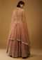 Rust Orange Lehenga Choli With Brocade Weave And Mirror Embroidery