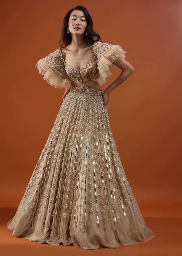 Champagne Gold Angelic Net Gown With Mirror Work And Ruffle Sleeves - NOOR 2022