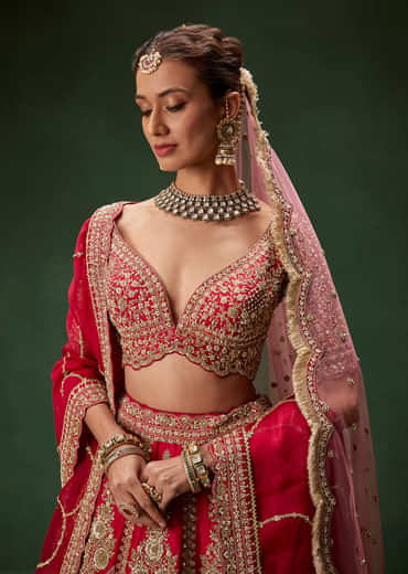 Classic Red Bridal Lehenga With All Over Zari And Dori Embroidery