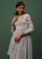 Cloud Grey Embroidered Anarkali In Georgette With Floral Print