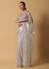 Cloud Grey Foil Saree In Tissue With Cut Dana Embroidered Borders