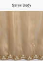 Copper Brown Organza Tissue Saree With Beaded Border