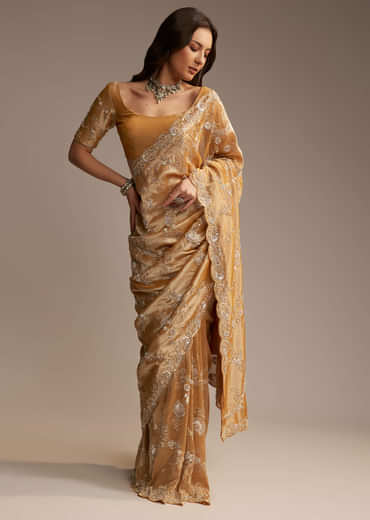 Copper Tissue Saree with Heavy Floral Embroidery