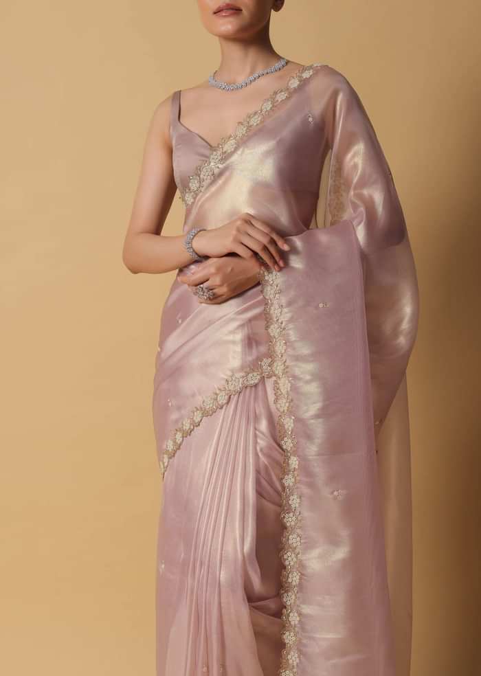 Copper Brown Foil Saree In Tissue With Cut Dana Embroidered Borders