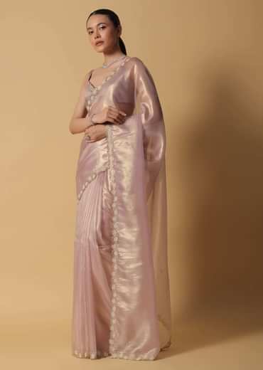 Copper Brown Foil Saree In Tissue With Cut Dana Embroidered Borders