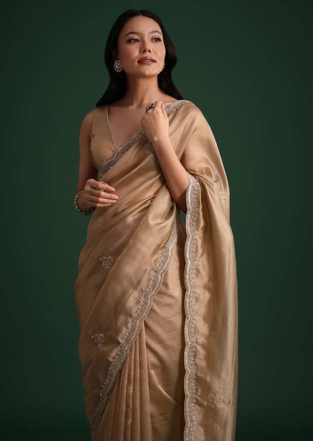 Copper Tissue Saree With Cutdana And Stone Embroidery Copper Tissue Saree With Cutdana And Stone Embroidery