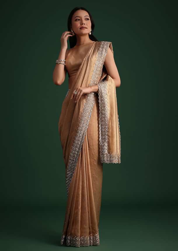Copper Tissue Cutdana And Stone Embroidered Saree