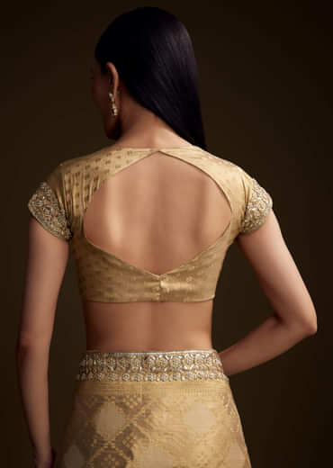 Cream Tissue Brocade Saree With Gotapatti And Moti Embroidery