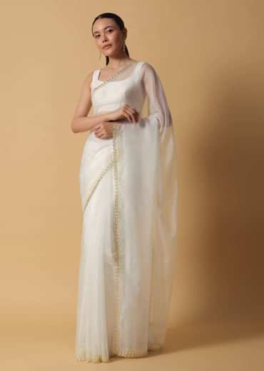 Daisy White Organza Saree In With Cut Dana Embroidered Borders