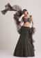 Dark Brown Sequins Mermaid Lehenga Set