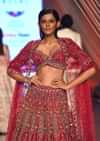 Dark Red Lehenga With A Crop Top In Royal Heritage Embroidery, Crop Top Comes In Scalloped Neckline